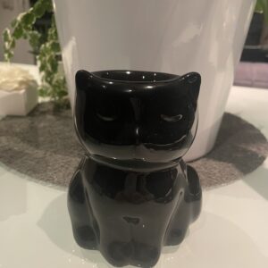 Bruleur chat noir