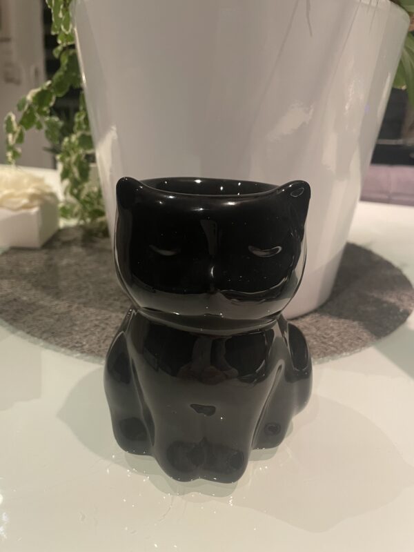 Bruleur chat noir