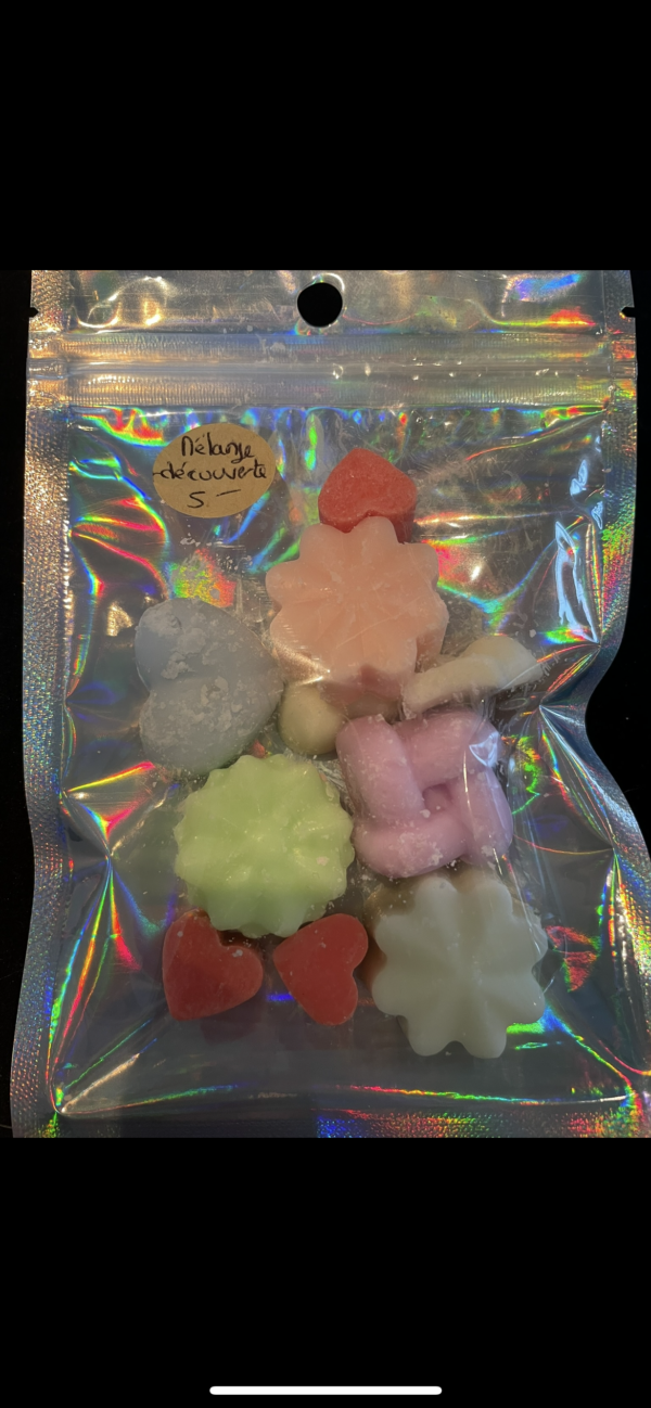 Sachet découverte fondants