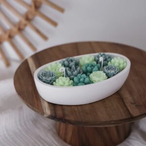 Bougie cactus