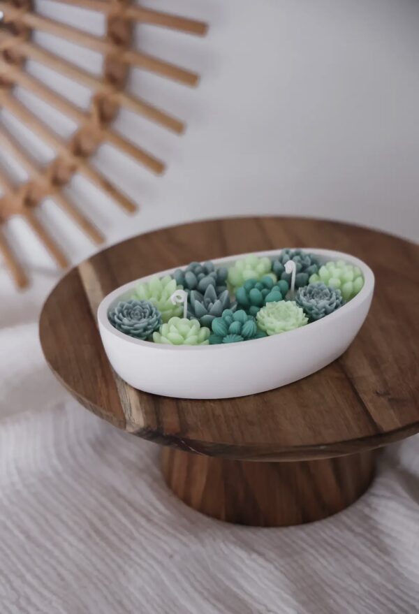 Bougie cactus